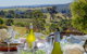 The Farmhouse - Grape Vines And Rolling Green Hills - thumb 0