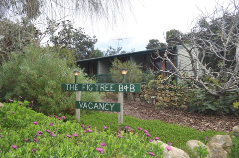 The Fig Tree B&B - Whitsundays Accommodation 0