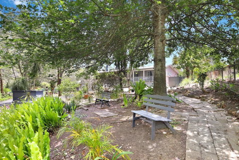 The Odd Gecko B&B - Whitsundays Accommodation 1