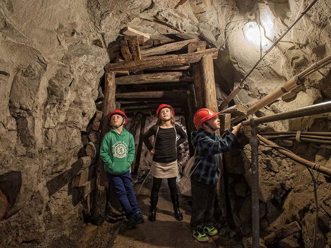 The Robin Hood Inn - Whitsundays Accommodation 2