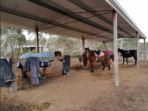 The Saddle Camp Tiny House, Braidwood - Whitsundays Accommodation 1
