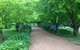 Toscana On Greenhills - thumb 1