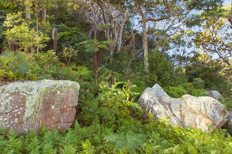 Treehouse Palm Beach - Whitsundays Accommodation 2