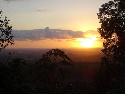 Treetops Montville - Whitsundays Accommodation 3