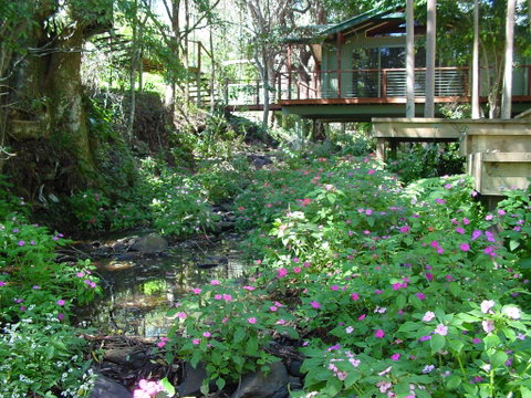 Treetops Montville - Whitsundays Accommodation 0
