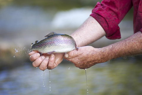 Tuki Retreat - Whitsundays Accommodation 2