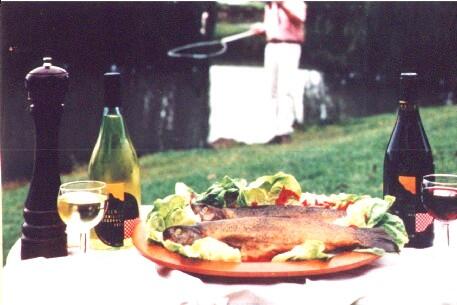 Tuki Retreat - Whitsundays Accommodation 3