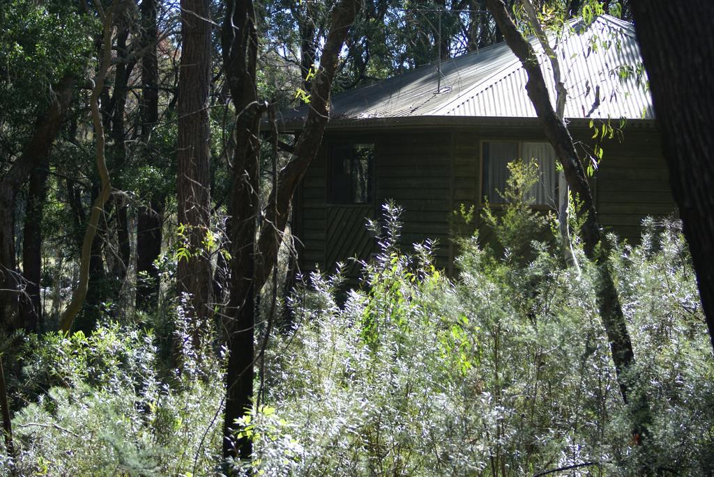 Fitzroy Falls NSW Whitsundays Accommodation
