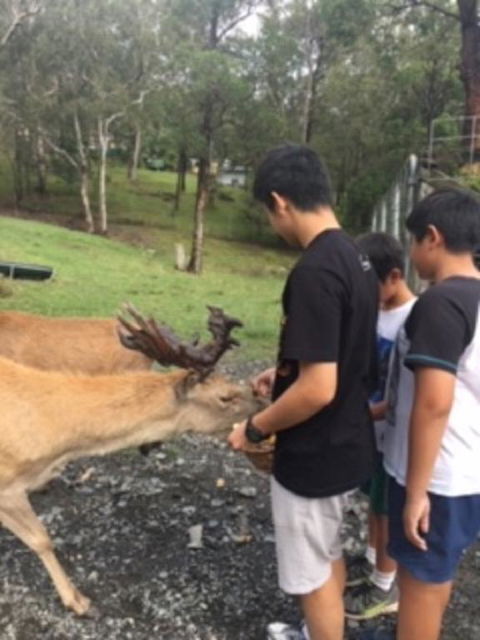 Villa Cervi Property - Whitsundays Accommodation 3