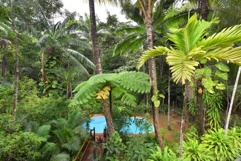 Wait A While Daintree - Whitsundays Accommodation 3