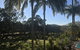 Wamberal Cottage - thumb 3