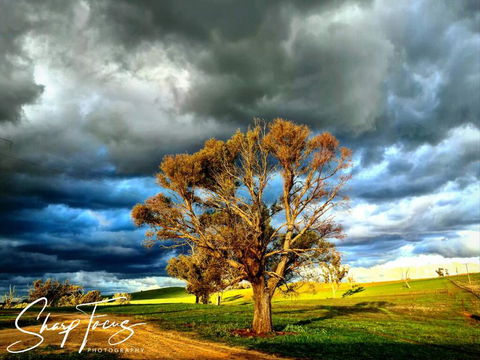 Wantana Cottage Farmstay - Whitsundays Accommodation 2