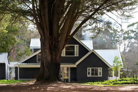 The Orchard - Whitsundays Accommodation 0