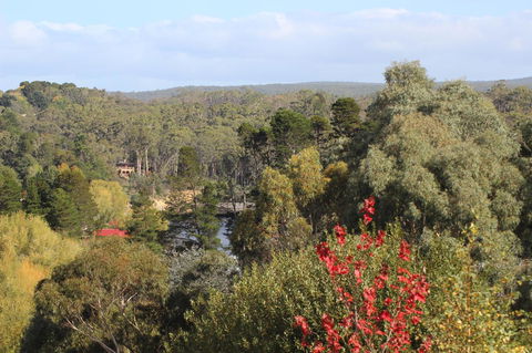 The Orchard - Whitsundays Accommodation 28