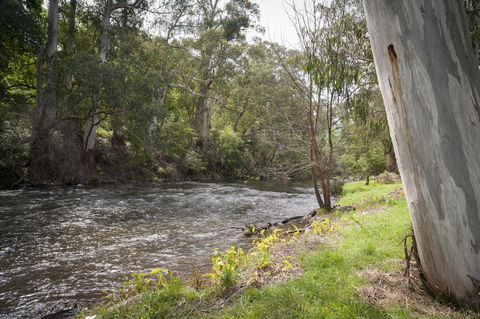 Oscar\'s On The Yarra - Whitsundays Accommodation 23