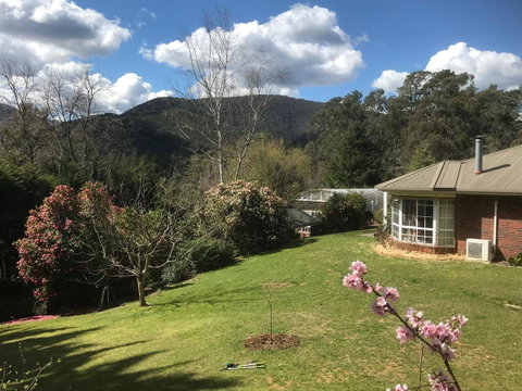 Alpine Aspects - Whitsundays Accommodation 23