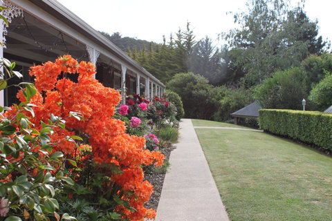 Alpine Aspects - Whitsundays Accommodation 34
