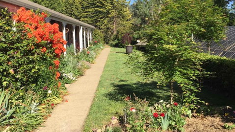 Alpine Aspects - Whitsundays Accommodation 4