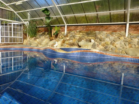 Alpine Aspects - Whitsundays Accommodation 39