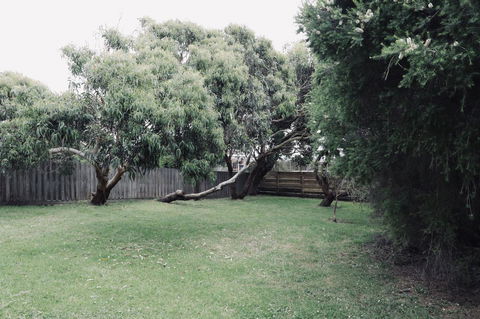 Red Ceder Cottage - Great Ocean Road - Port Campbell - Whitsundays Accommodation 24