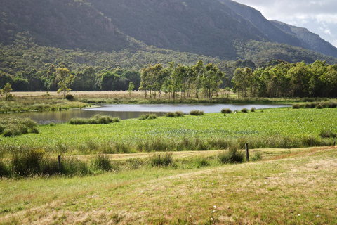Gumnut Villa - Whitsundays Accommodation 11