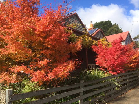 Chestnut Daylesford - Whitsundays Accommodation 13