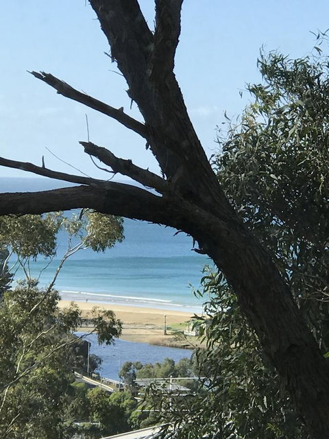 Lorne Sea View Terrace House - Whitsundays Accommodation 12