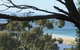 Lorne Sea View Terrace House - thumb 10