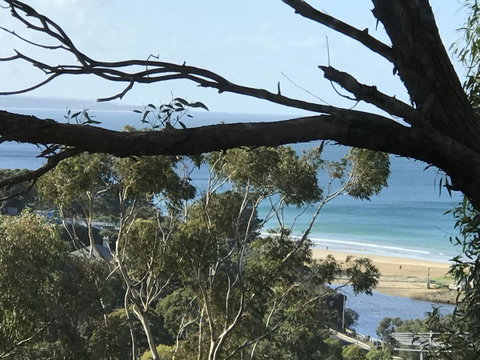 Lorne Sea View Terrace House - Whitsundays Accommodation 10