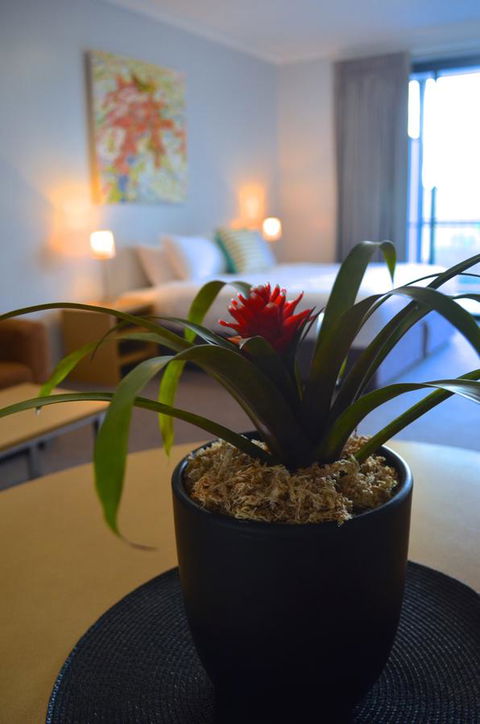 Mansfield Apartments - Whitsundays Accommodation 21