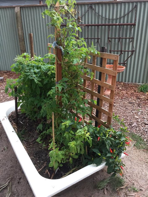 Grampians Pomonal Cottages - Whitsundays Accommodation 28