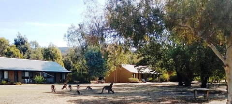 Grampians Pomonal Cottages - Whitsundays Accommodation 6