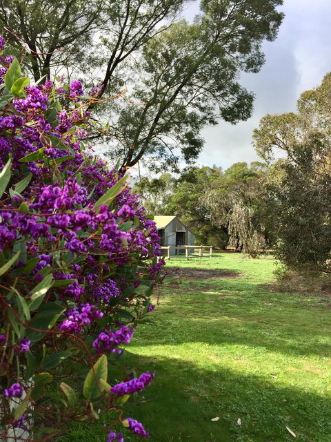 Grampians Pomonal Cottages - Whitsundays Accommodation 21