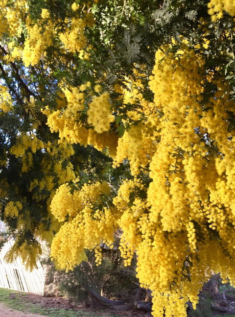 Grampians Pomonal Cottages - Whitsundays Accommodation 5