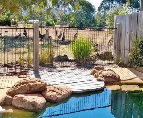 Grampians Pomonal Cottages - Whitsundays Accommodation 24