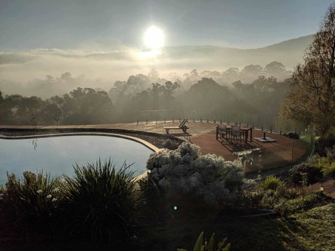 Kangaroo Manor - Whitsundays Accommodation 6