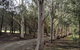 Kangaroo Manor - thumb 10