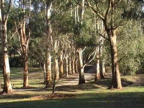 Kangaroo Manor - Whitsundays Accommodation 21