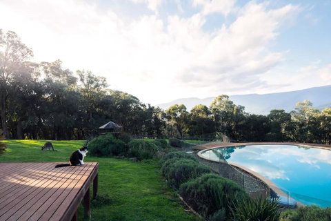 Kangaroo Manor - Whitsundays Accommodation 23