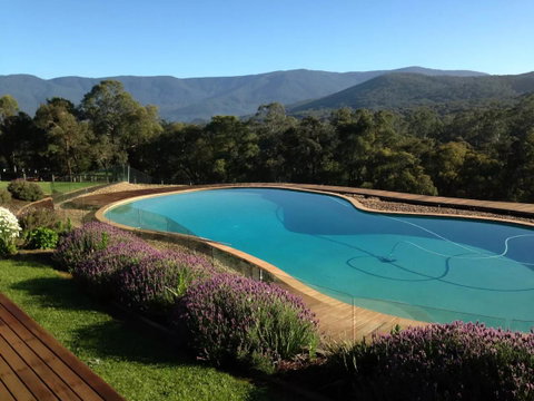 Kangaroo Manor - Whitsundays Accommodation 14