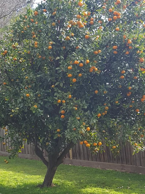 Juliet House - Whitsundays Accommodation 21