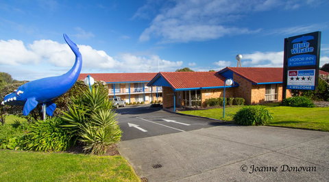 Blue Whale Motor Inn & Apartments - Whitsundays Accommodation 0