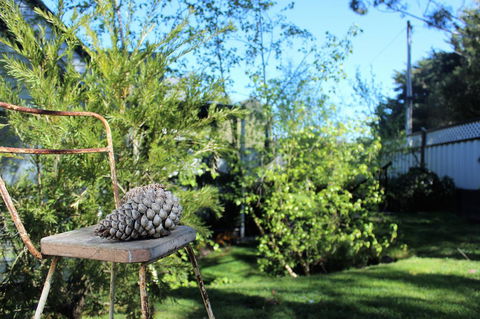 Cottage 4A - Whitsundays Accommodation 13