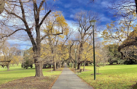 Fawkner Apartment Bay-view 5 - Whitsundays Accommodation 30