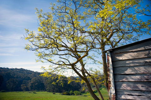 Cabrito - Whitsundays Accommodation 9