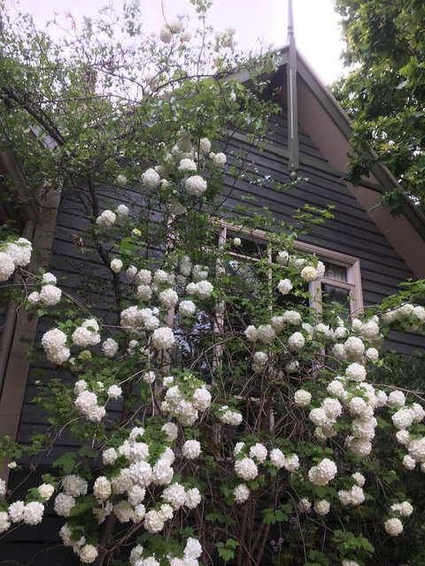 Oak Tree Lodge - Whitsundays Accommodation 21