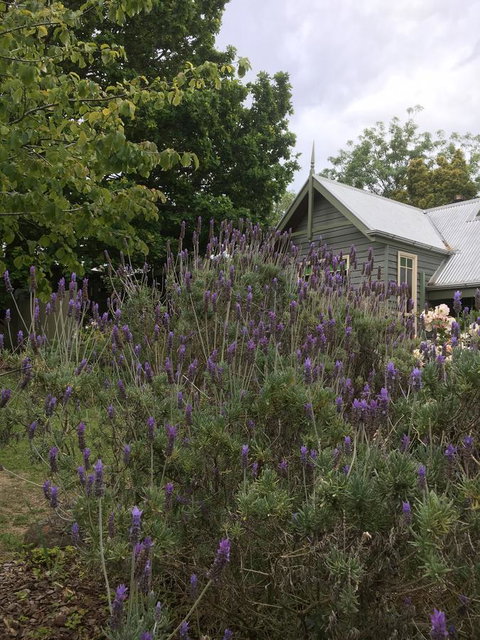 Oak Tree Lodge - Whitsundays Accommodation 25