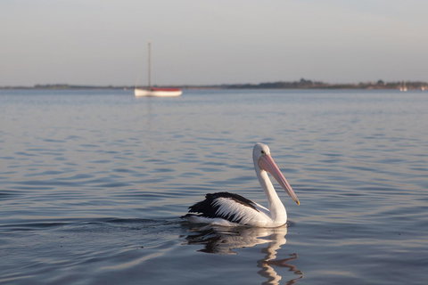 Oak Tree Lodge - Whitsundays Accommodation 17