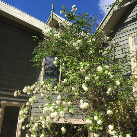 Oak Tree Lodge - Whitsundays Accommodation 16