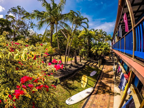 Cool Bananas Backpackers - Whitsundays Accommodation 17